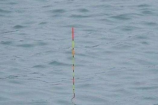 别再瞎提竿了，鱼口信号就这几种！野钓鲫鱼，最爽的就是那个“顿口”。浮漂“噌”