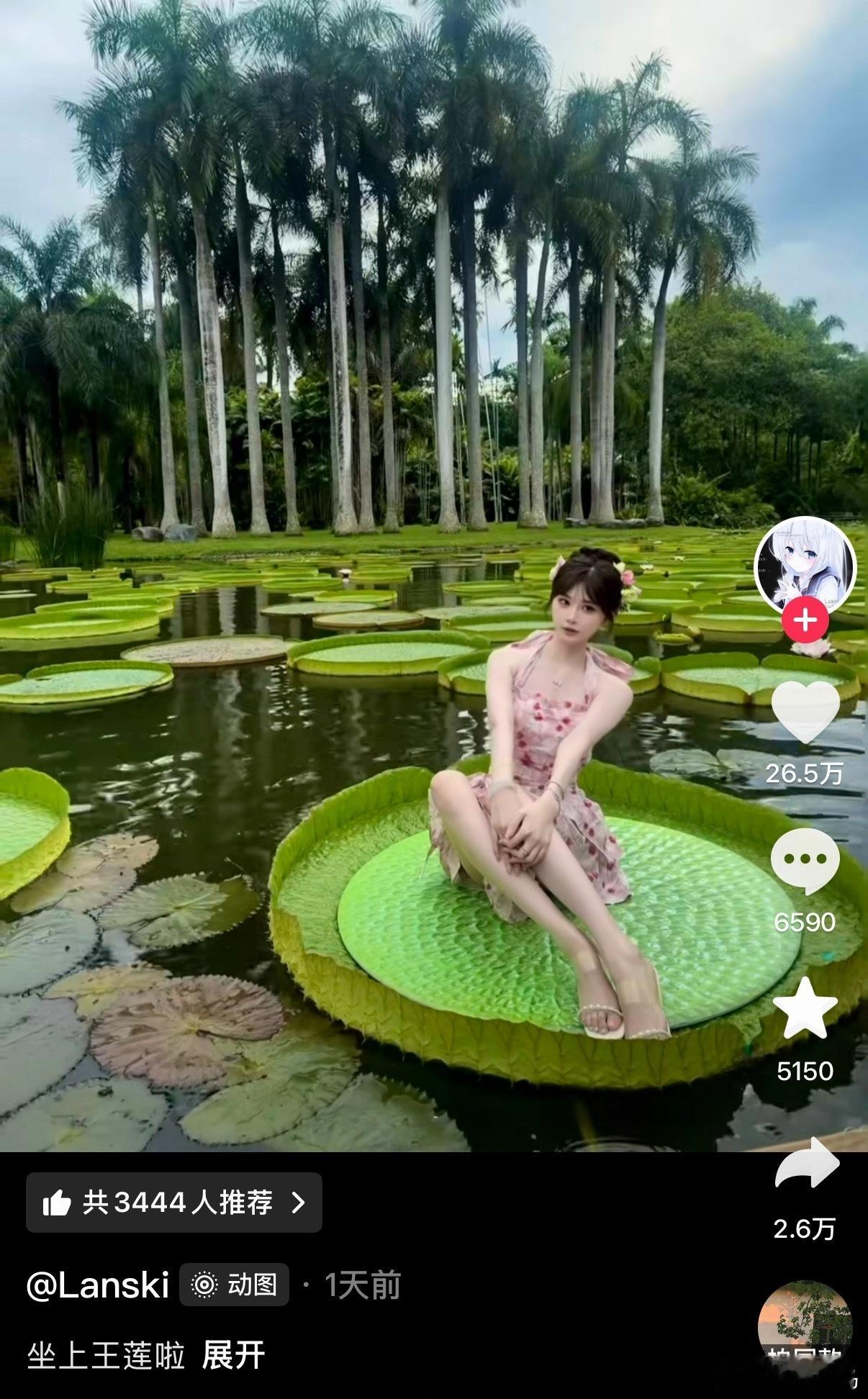 啥意思为什么不让我体验