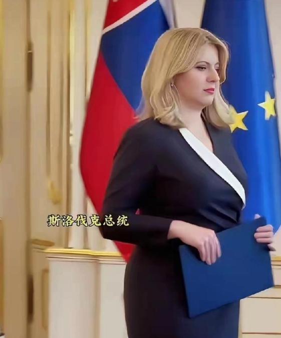 这应该是目前世界上最美的女总统了。提起世界各国的领导人，有位女总统总能靠独特气质