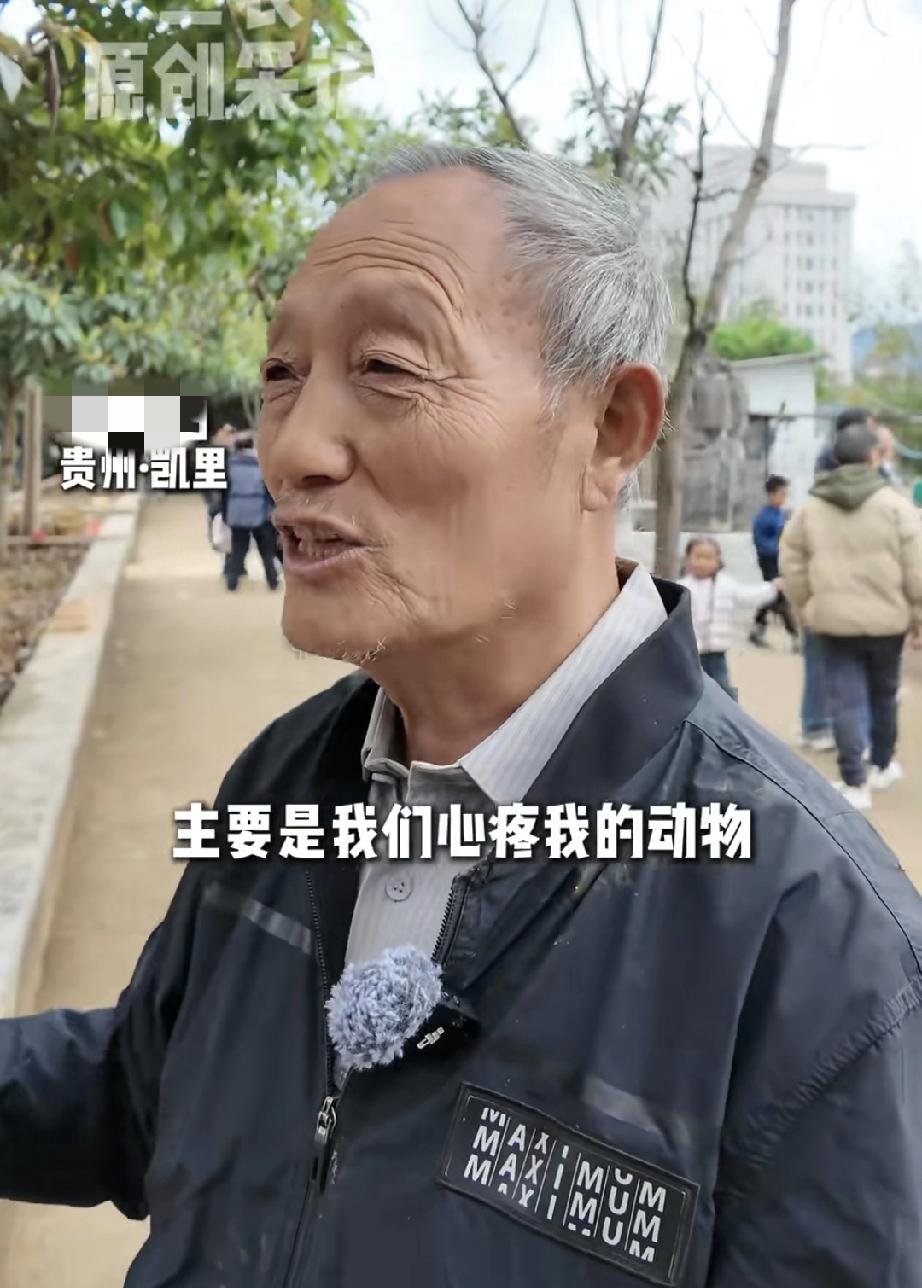 凯里动物园园长说：“其实我工资很高很高的，但是拿个板凳在那里晒太阳很没意思的，干