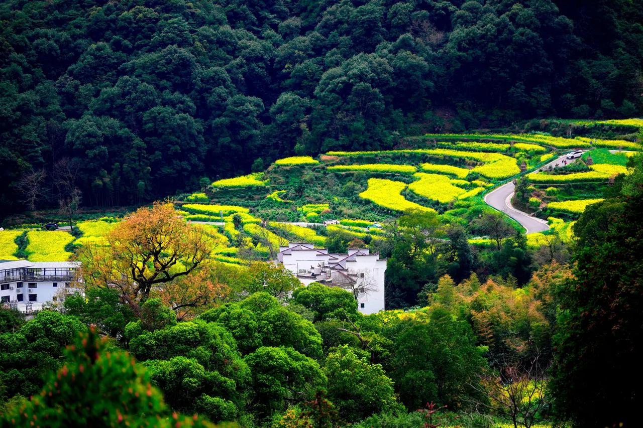 昨天看到一位东北网友举报东北某些学校的老师，利用假期进行补课。如今不是正在严查此