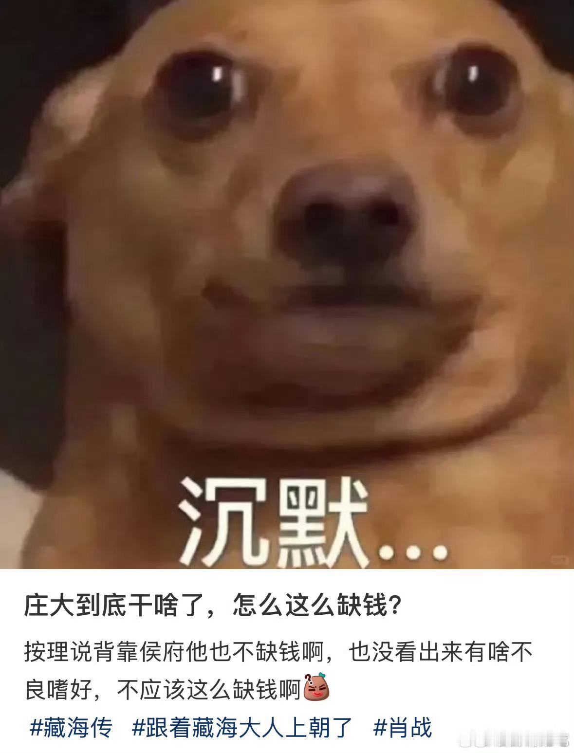 大雍平账仙人我真的要笑死，把自己的热爱变成事业来做整个人都会发光！藏海传​​​