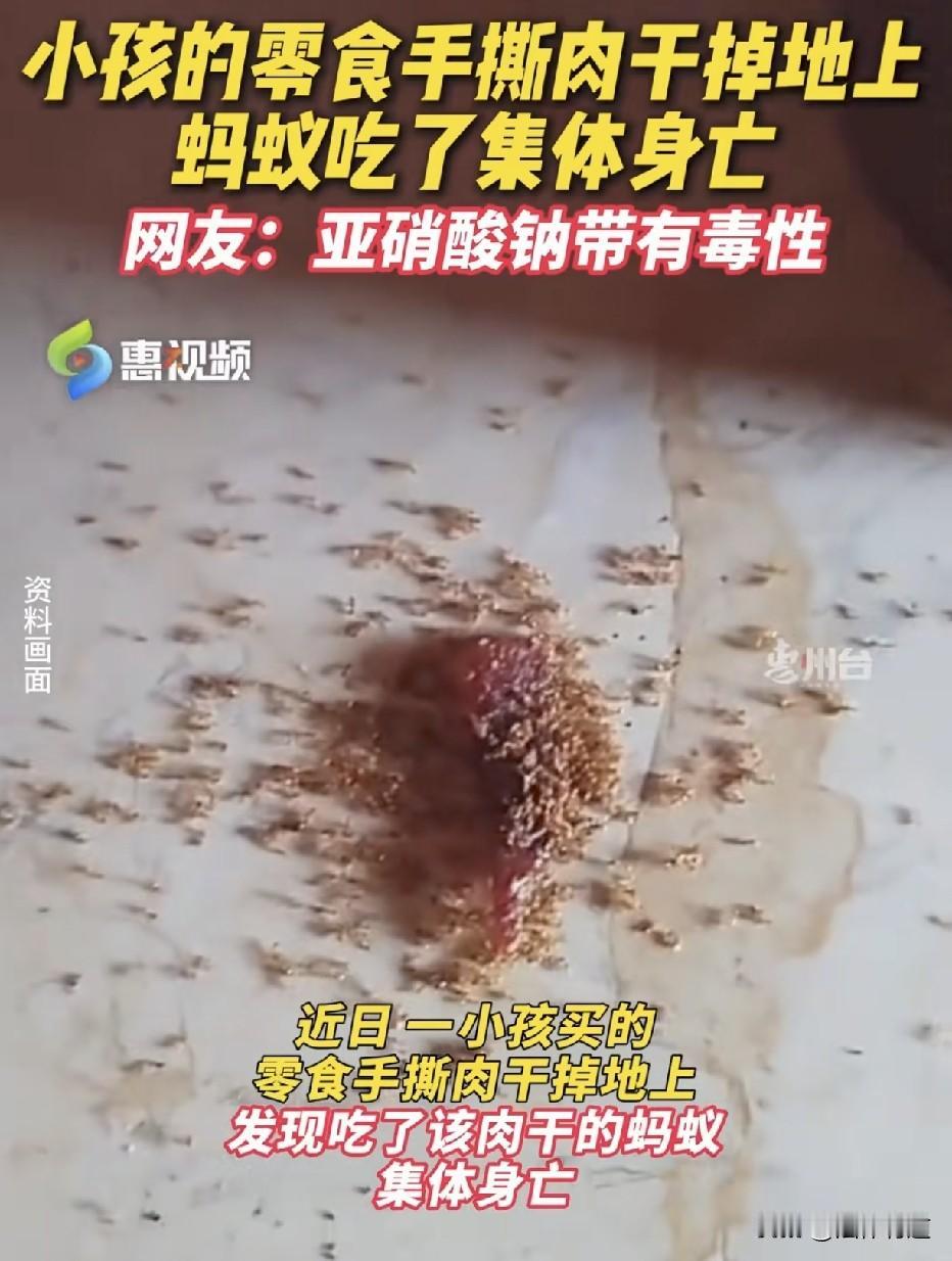 “蚂蚁吃了都死掉的牛肉干，你说合格吗？”孩子在家里吃零食时，不小心洒落一块手撕肉