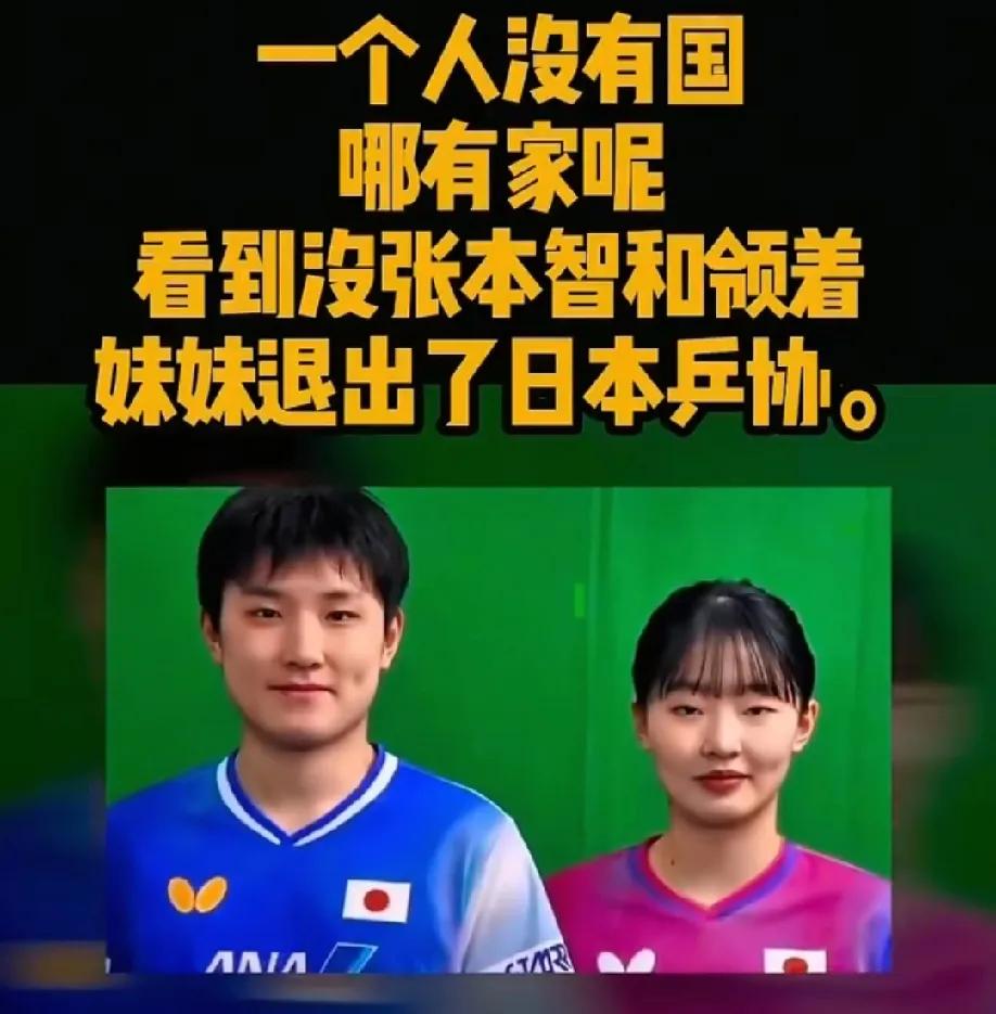 重磅消息，张本智和携手妹妹退出日本乒乓球队！至于张本智和为何退出，简单一个作字