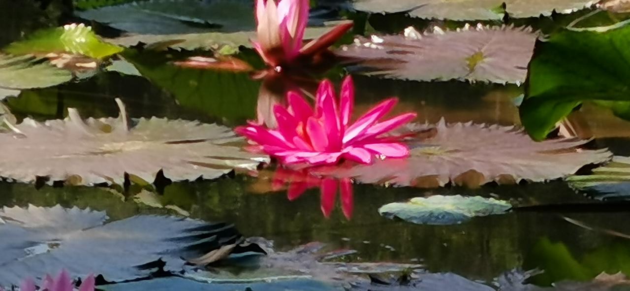 有人说在股市本金有100万以上的人，挣钱的概率是100%本金在10万或以下的人