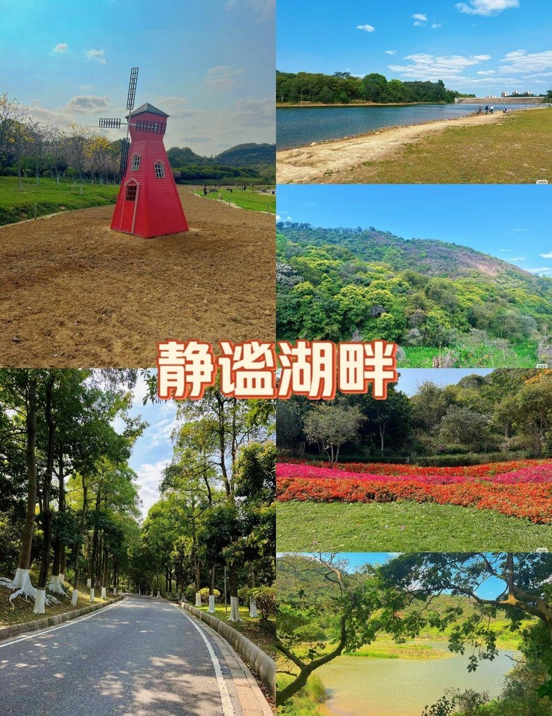 放松周末，野游好去处📍广州黄山鲁森里公园分享我的宝藏打卡点城市向导官💡