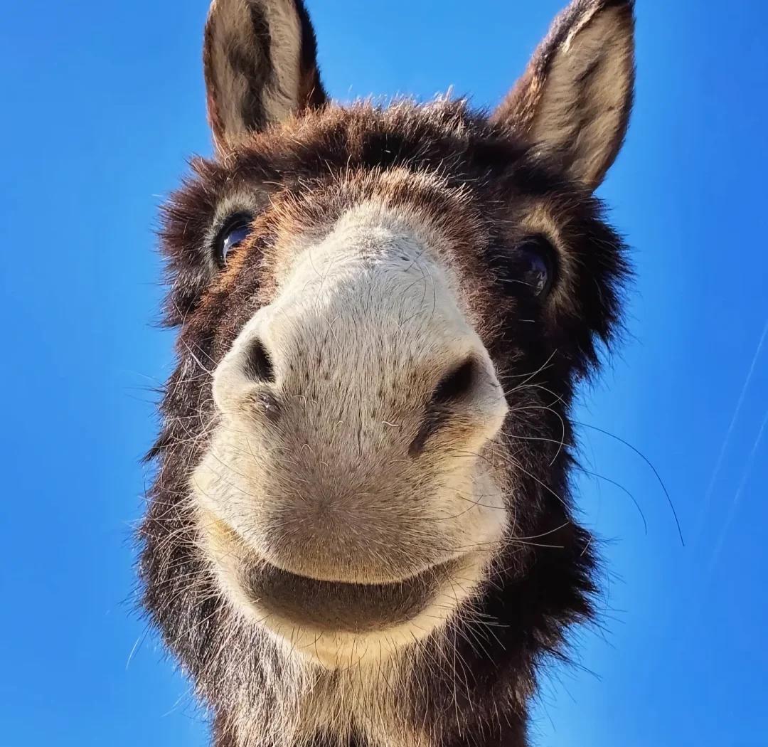 给大伙讲个乐的，我妈单位新来的小姑娘，她爸给28万让全款买车，结果人家转头办了个