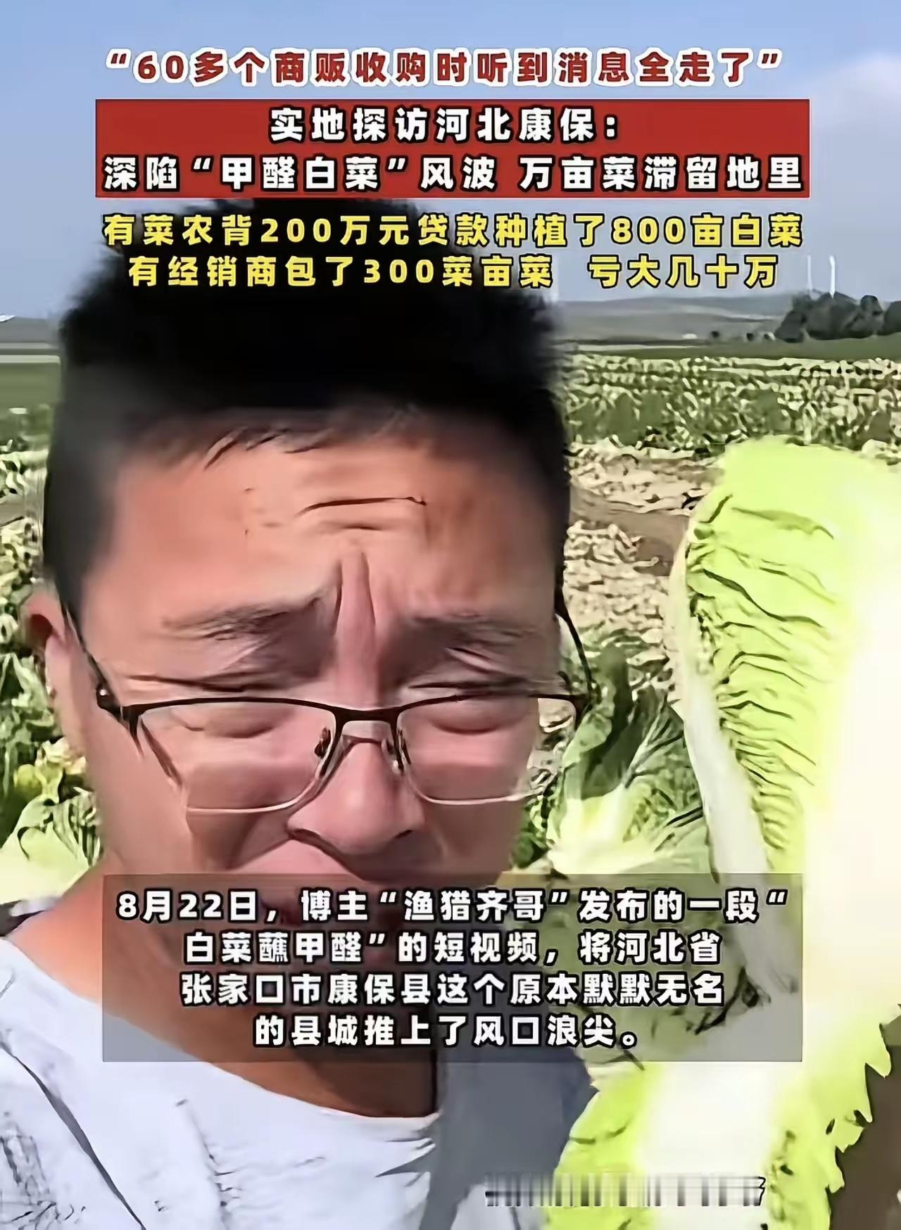 名声臭了后收购商全跑了，万亩白菜滞留地里，有人贷款200万。​​​