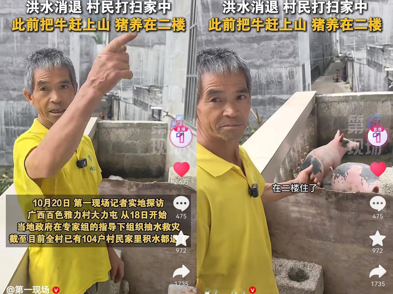 泪目！百色洪水退去后的画面！藏着最动人的生命力！10月20日记者探访雅力村大力