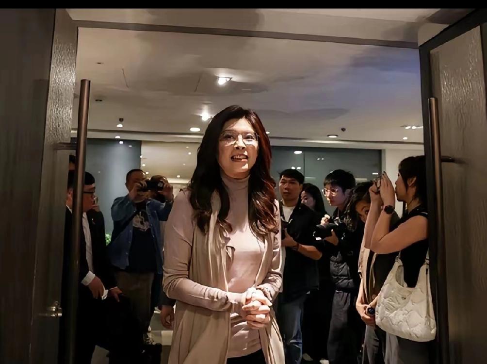 国民党核心人物全体出动，14人名单一出，岛内瞬间炸锅！郑丽文今天登机前的一番话，