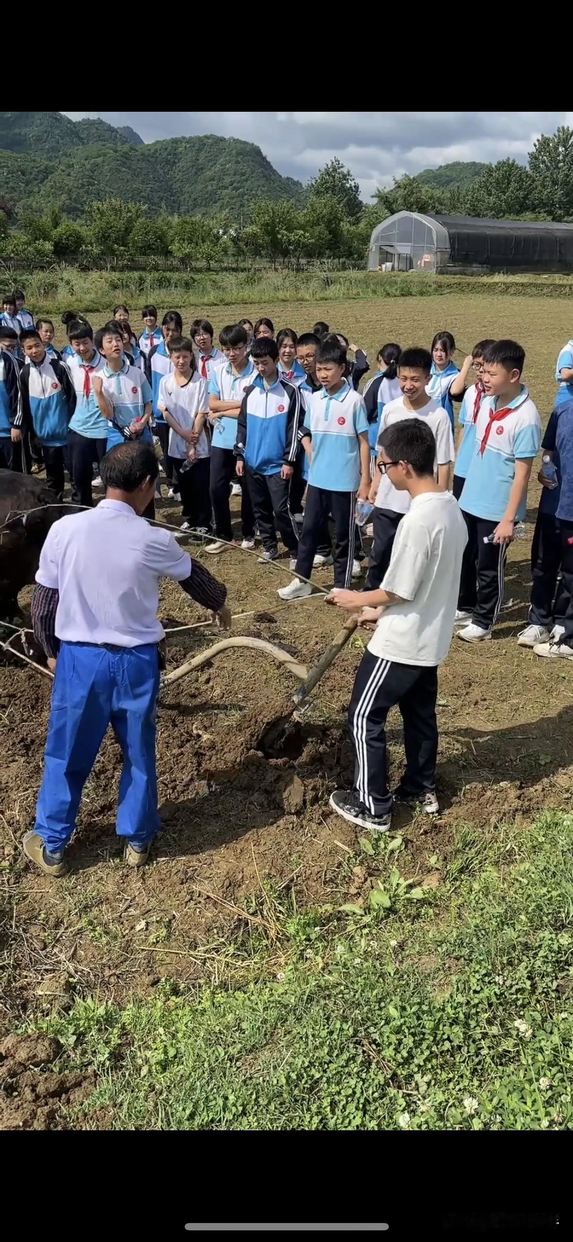 这样的研学有意义吗？不知从何开始，研学从幼儿园到高中，每个学期基本都会组织去！