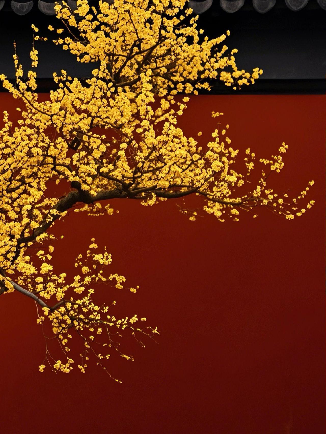 刚刚接待了一位初三的学生家长，孩子是苏北的一个县城的，想找老师，可能觉得在当地没