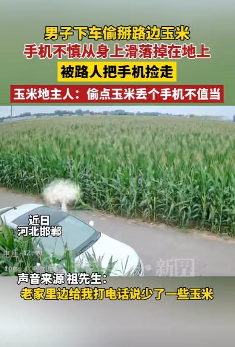 善恶终有报！河北邯郸，一男子停车钻入路边玉米地偷摘即将成熟的玉米，不料作案过程中
