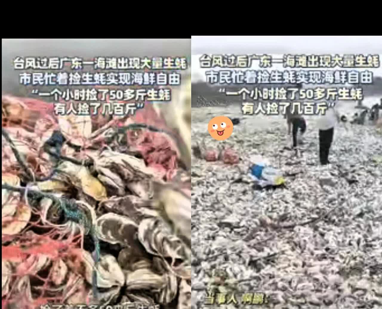 这回发财了！广东汕头那地界，可出了件稀罕事儿！有个男子瞧见海岸上白花花一片，