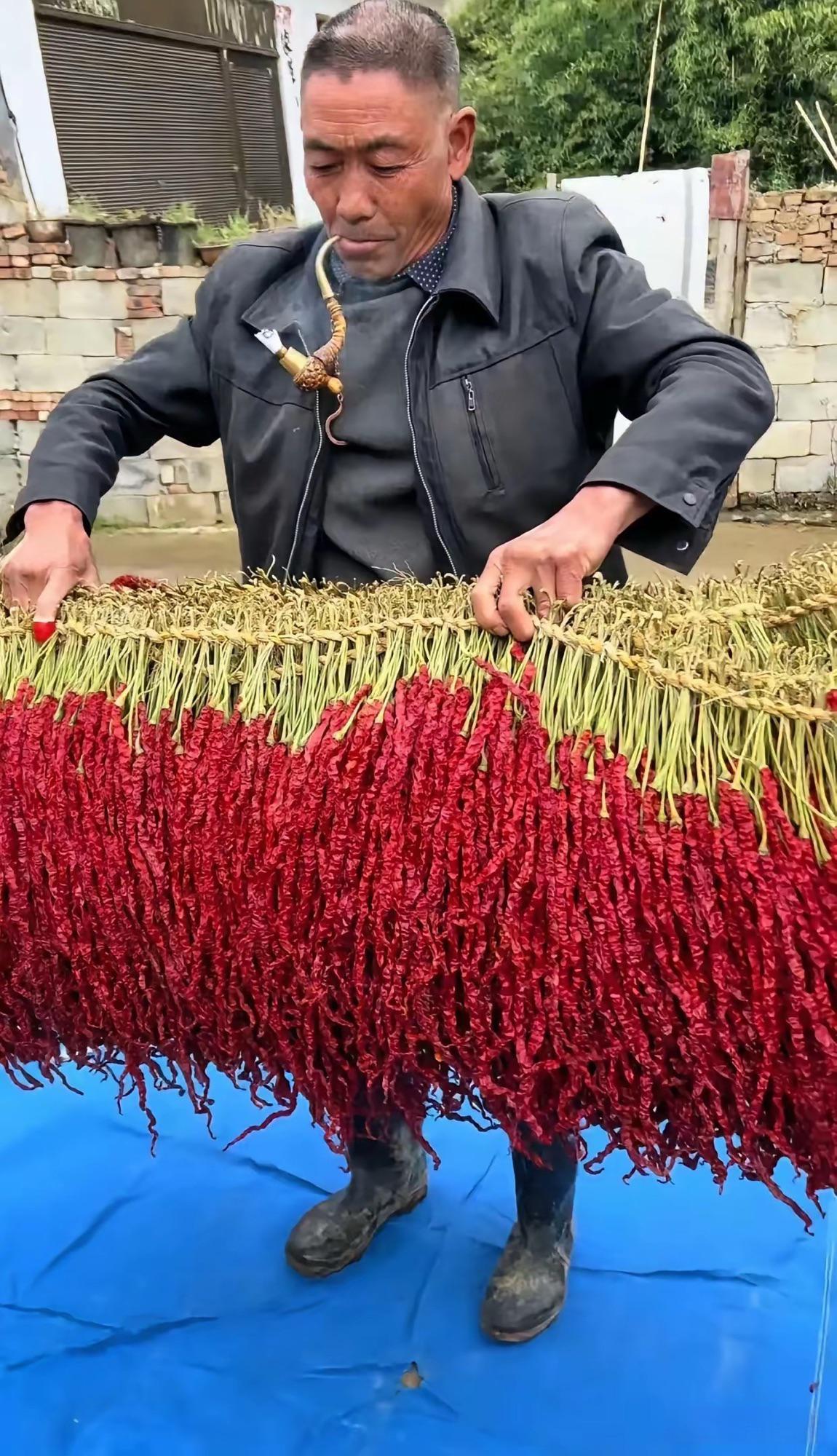 这辣椒真的是太好了吧