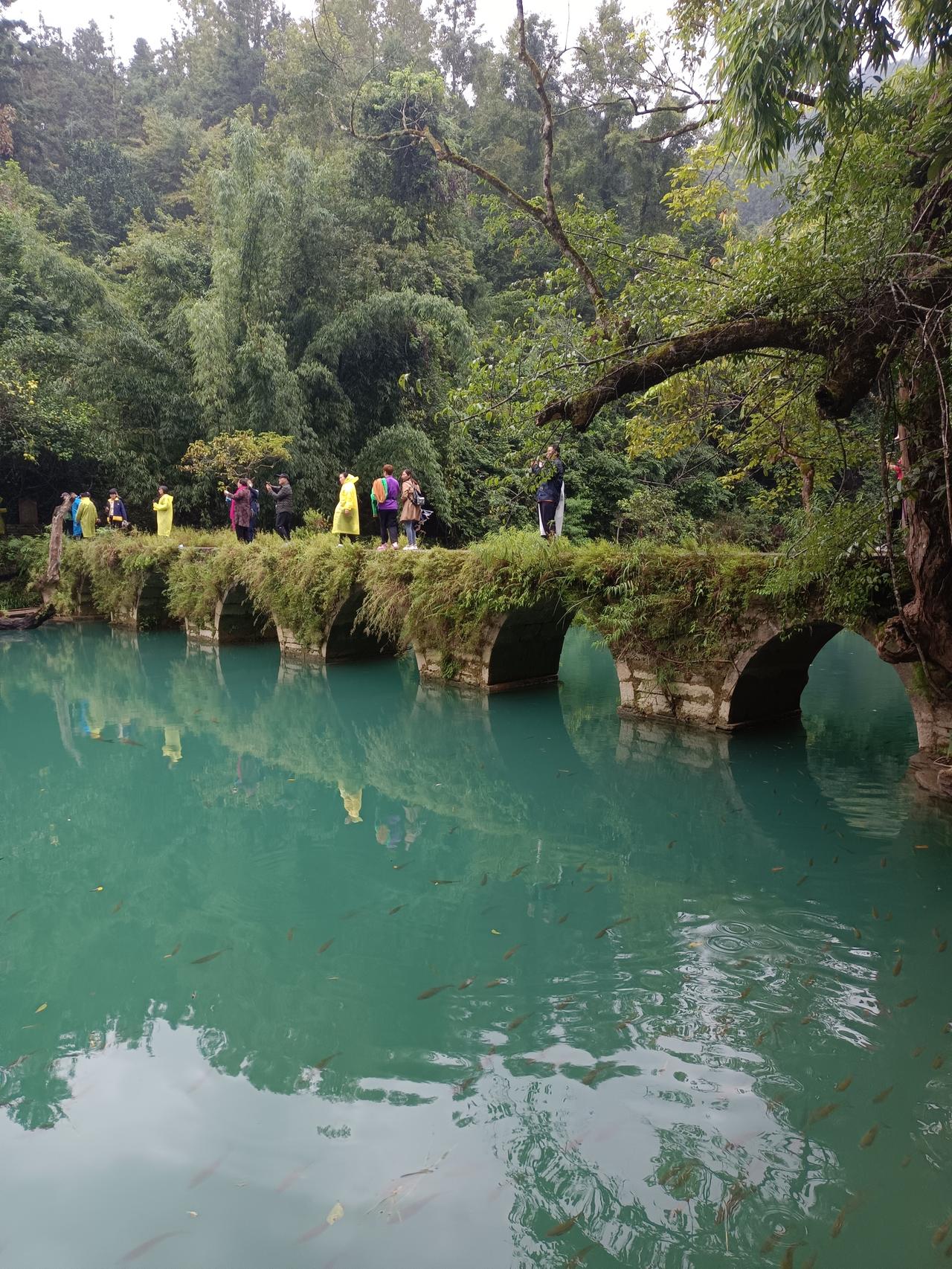 分享一张自然风景的照片