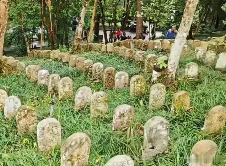 原来在外国人眼里，我们才是真正的战斗民族！终于明白为什么国外的黑帮剧，都会强调不