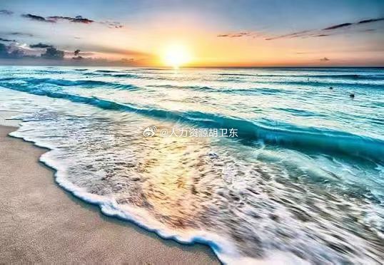你知道吗？海滩上的一小波浪花破裂时，包含的活生物数量超过地球上有史以来存在过的所