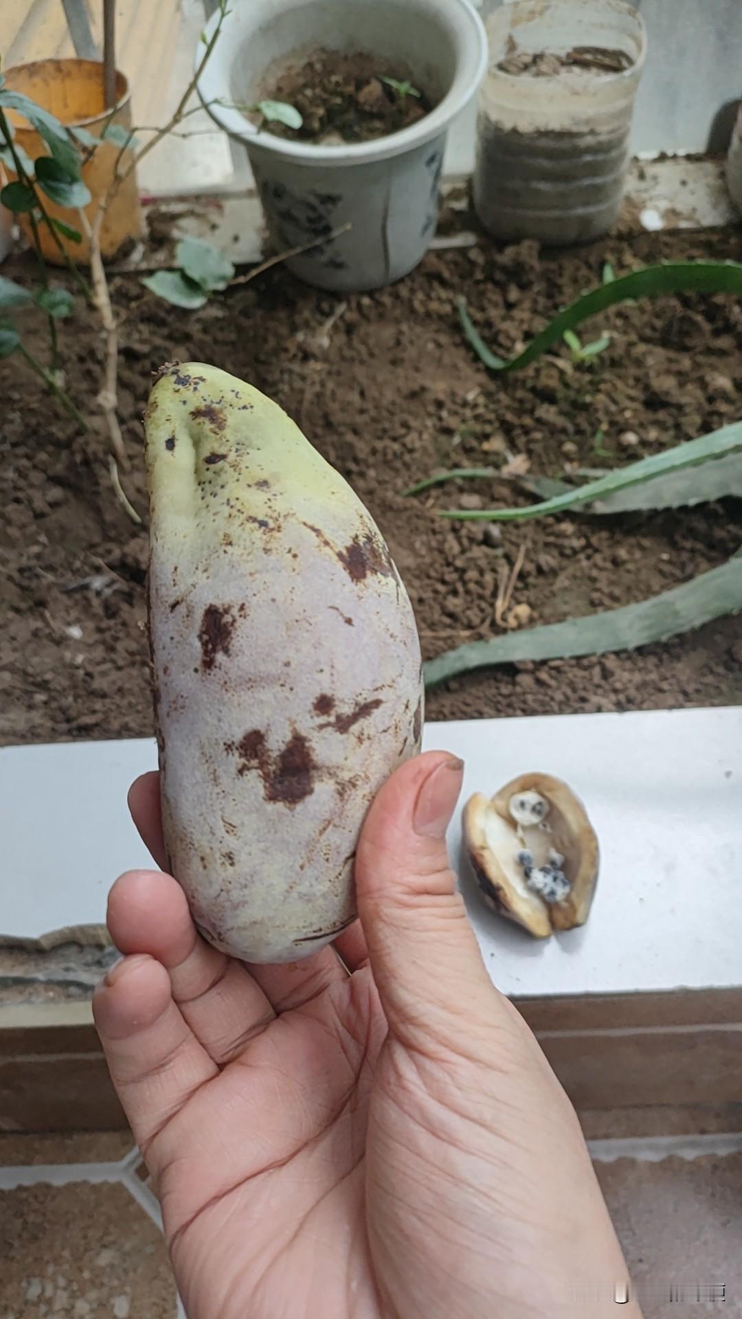 最近发现一个问题，睡得越早，饿的越快[捂脸哭][捂脸哭][捂脸哭]不知