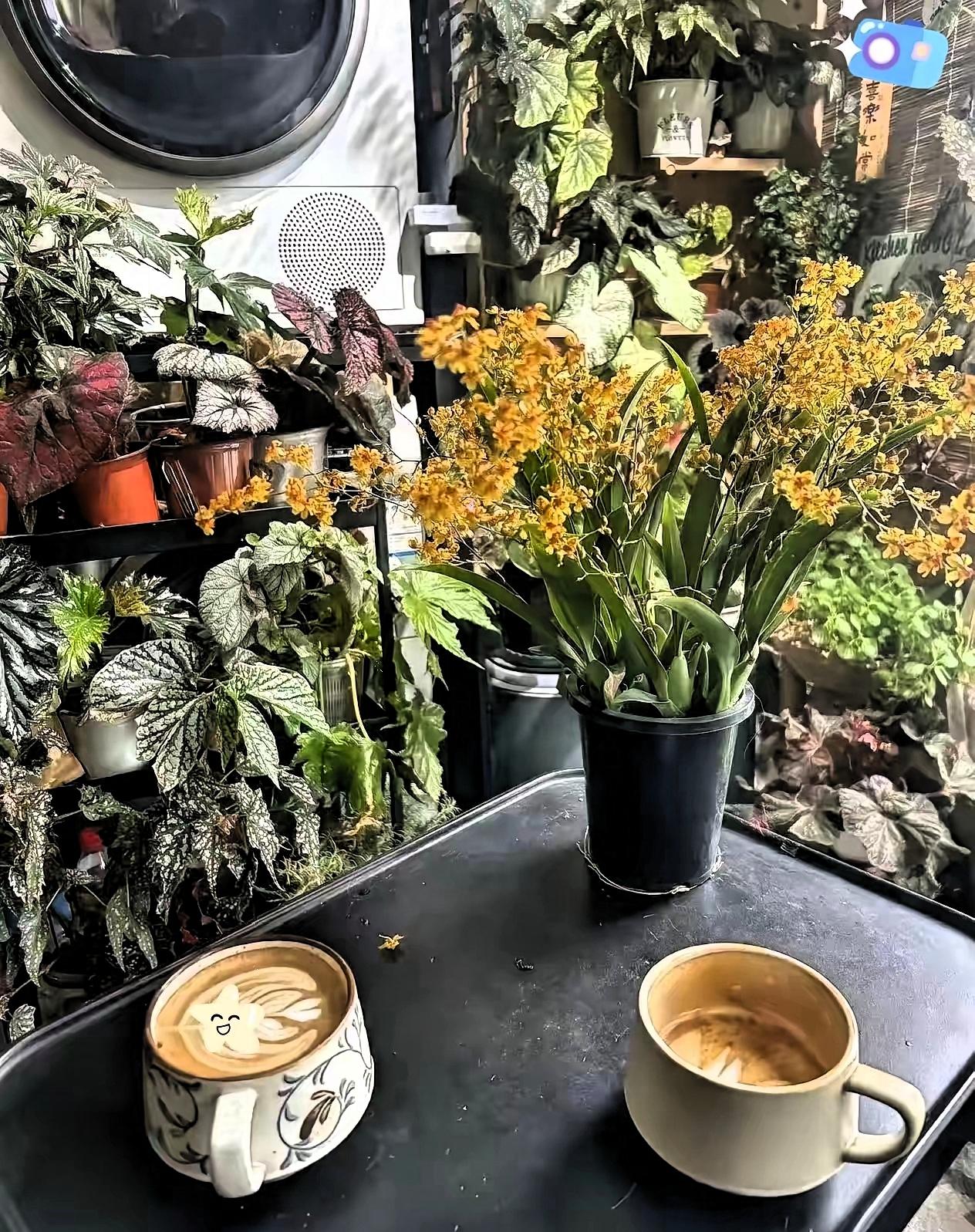 今天上午一激灵，股票，基金全部清仓。20年的老股民了。今天上午全部清仓了，花了