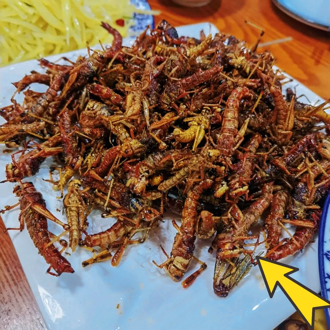 朋友请客！点了很多菜我说够了，她还要点个硬菜，我没敢吃！家人们这菜硬吗，你们吃过