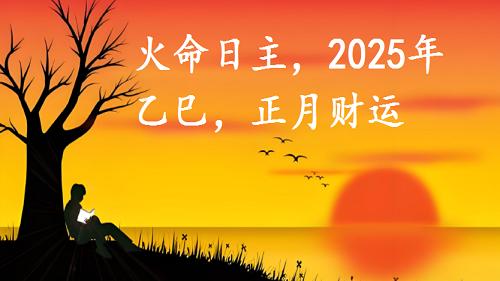 火命日主, 2025年乙巳, 正月财运