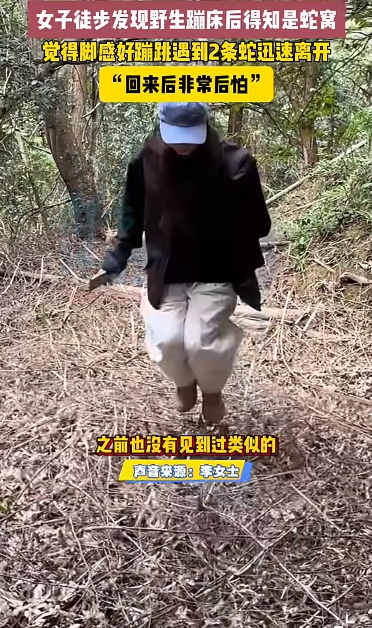 谁能想到踩在脚下软乎乎的“野生蹦床”,竟然是藏着几十条蛇的致命窝点?江西徒步的李