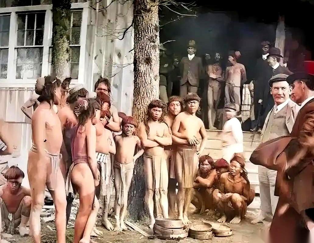 一百年，从一百万，干到六万。你没看错。英国人刚到澳大利亚那会儿，那片土地上，生