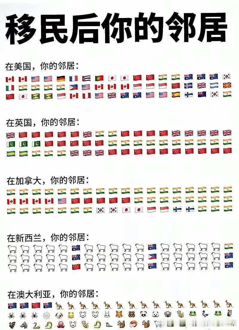 感觉去新西兰🇳🇿放羊不错移民去哪​​​