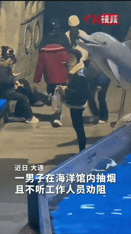 笑不活了！男子在海洋馆内抽烟，工作人员见状急忙跑上前劝阻“先生，这里禁止吸烟。”