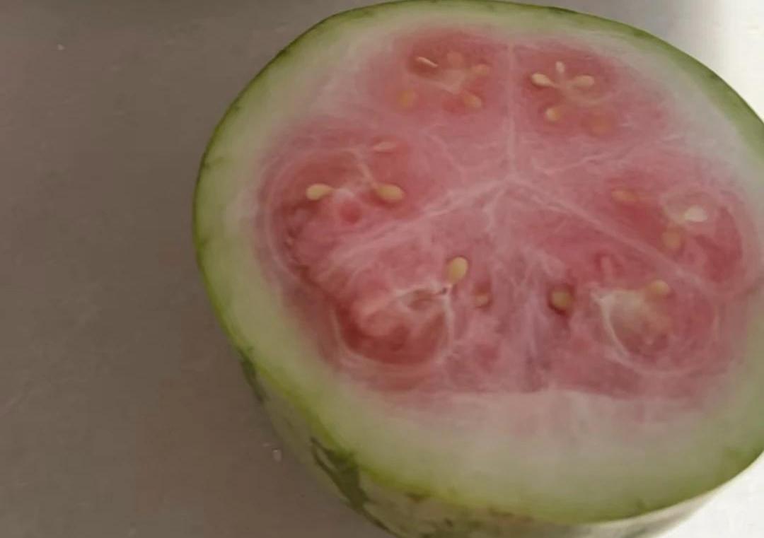 昨天乌鲁木齐市的西瓜价格突然降到0.9元了，因为外地的西瓜大批量进入新疆了！现在