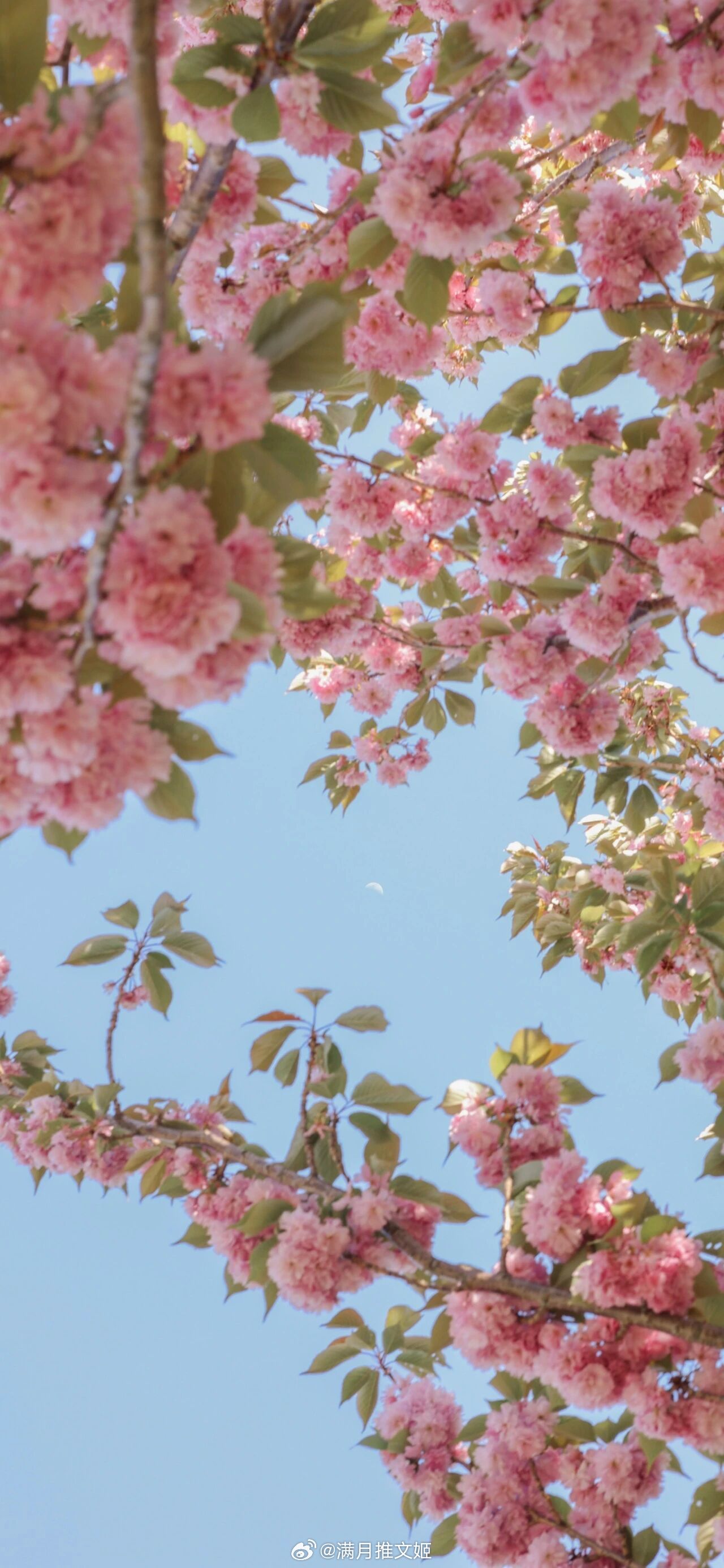 我见过世间所有荒凉，唯独遇见你，才觉人间值得。——丁墨《他来了，请闭眼》早安言