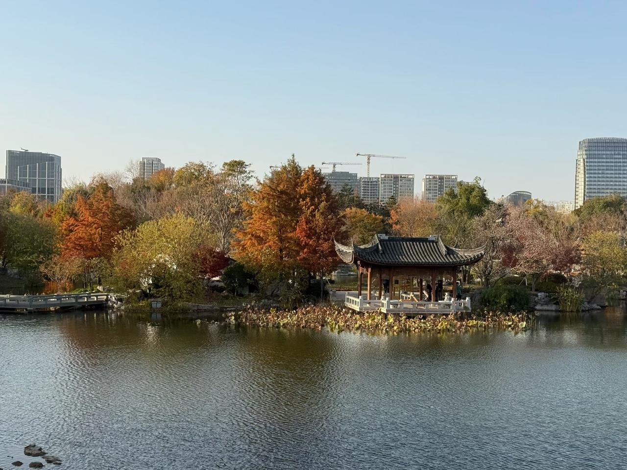 我时常瞧见一男一女拿着手机相互闲聊。一个已有家室，一个也有伴侣。两人聊着、说着、