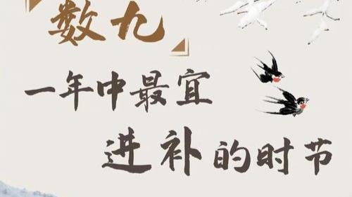 数九为何起始于冬至？从天文视角，冬至是阴阳转换的枢纽，太阳直射南回归线，北半球白