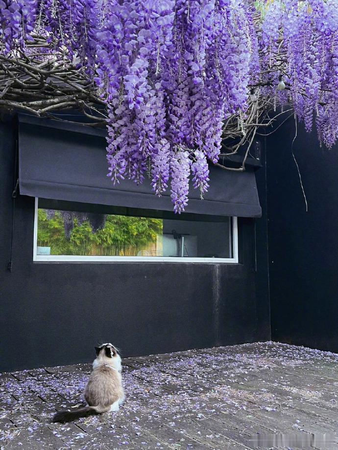 但斌怒喷：量化是市场脓包，散户在跟机器对赌“量化就是市场的脓包，现在炒股，散户是