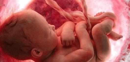 胎儿在肚子里会发脾气, 看完后孕妈们感觉暖心