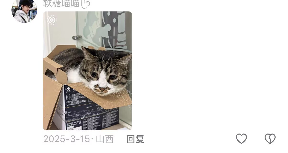 小猫是对大小没有概念的