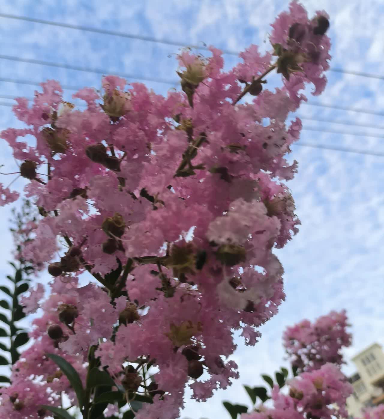 今天在一家繁华商场，差点挂了[捂脸哭]碰一老太太问路，到商场五楼一家健身房干清