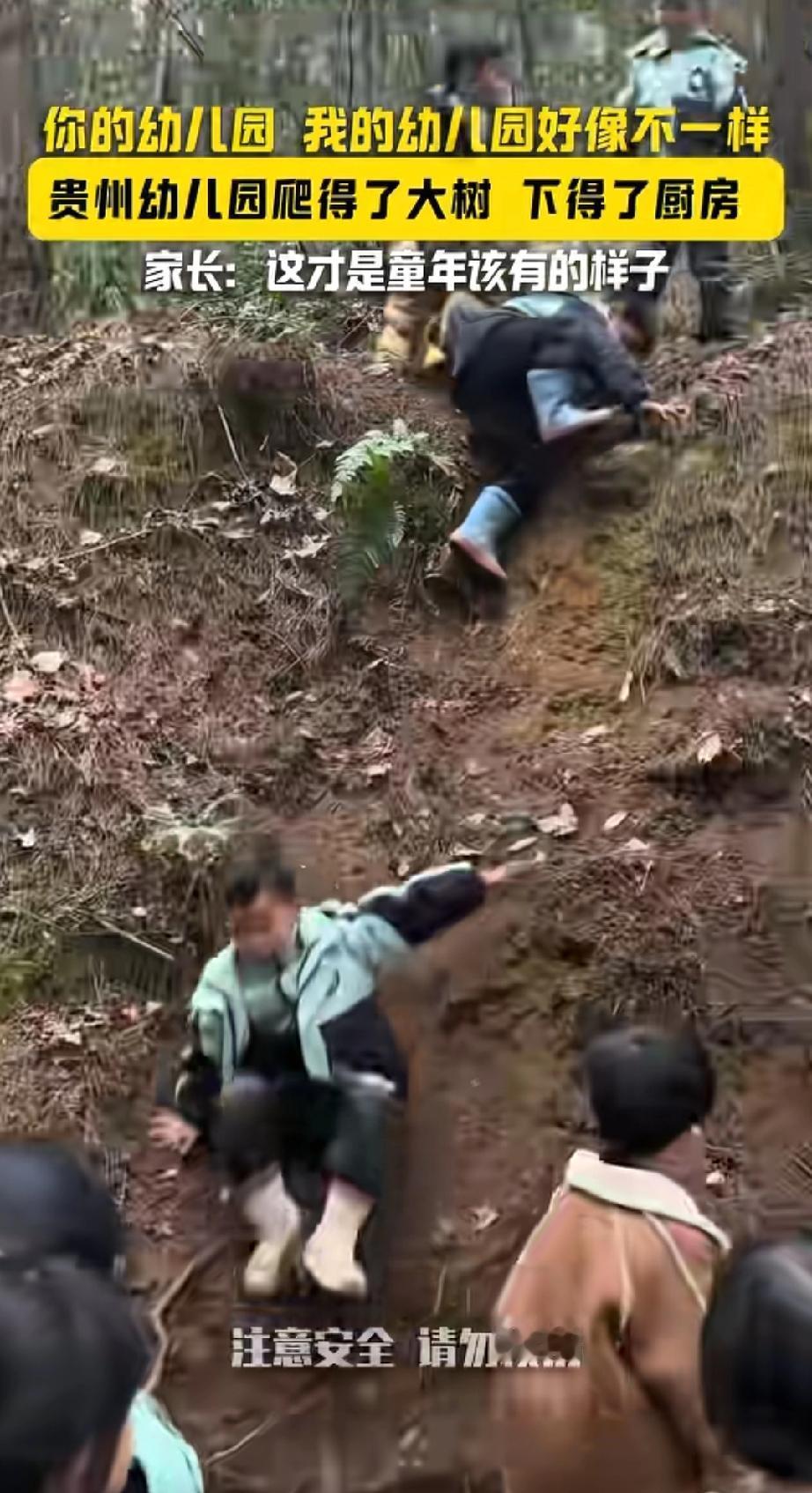 贵州遵义一幼儿园，因独特的森林教育方式引发热议！本地家长：花钱送娃去幼儿园，