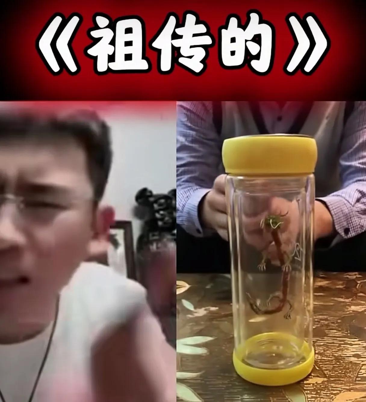 这玩意儿还有祖传的？不知道视频是不是真的，如果是真的，那也太不得了了，能把龙龙当