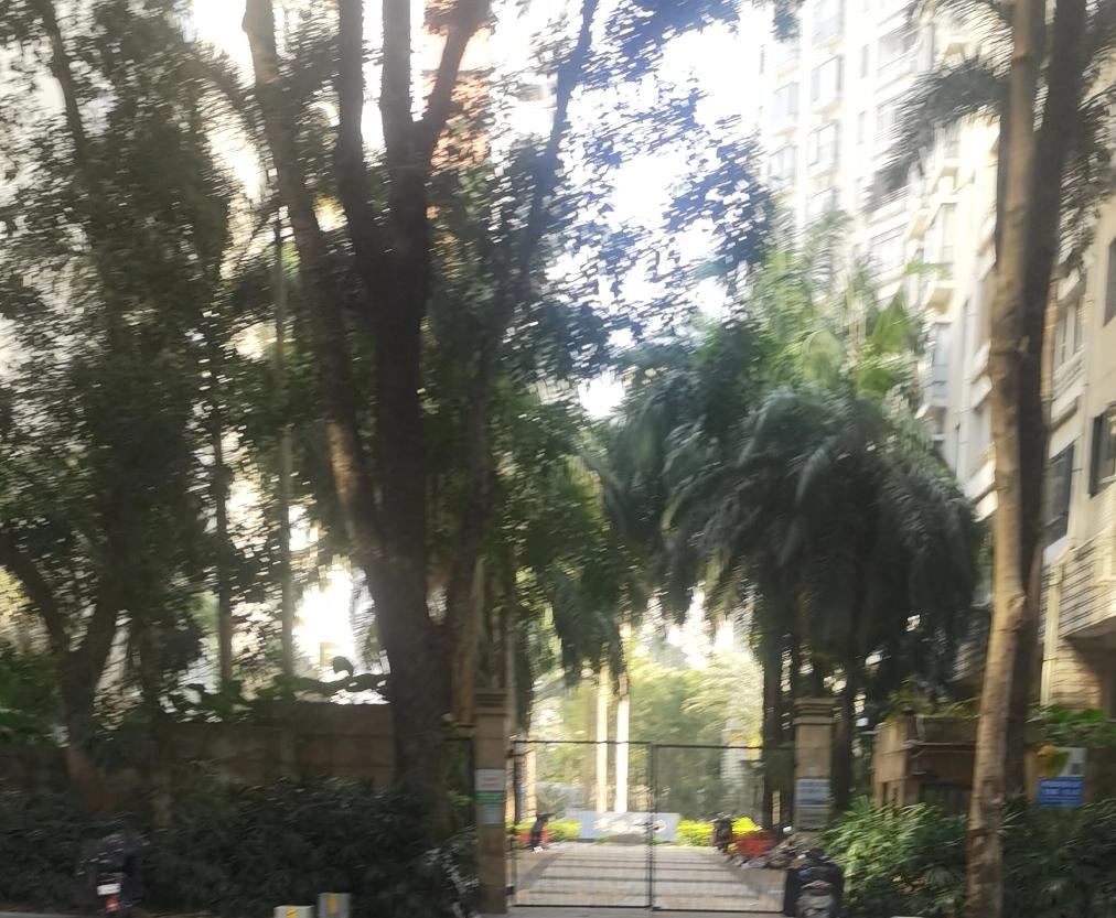 深圳楼市可能正在发生变化。我电话最近被中介打爆了，问我湾边房子还卖不卖。最