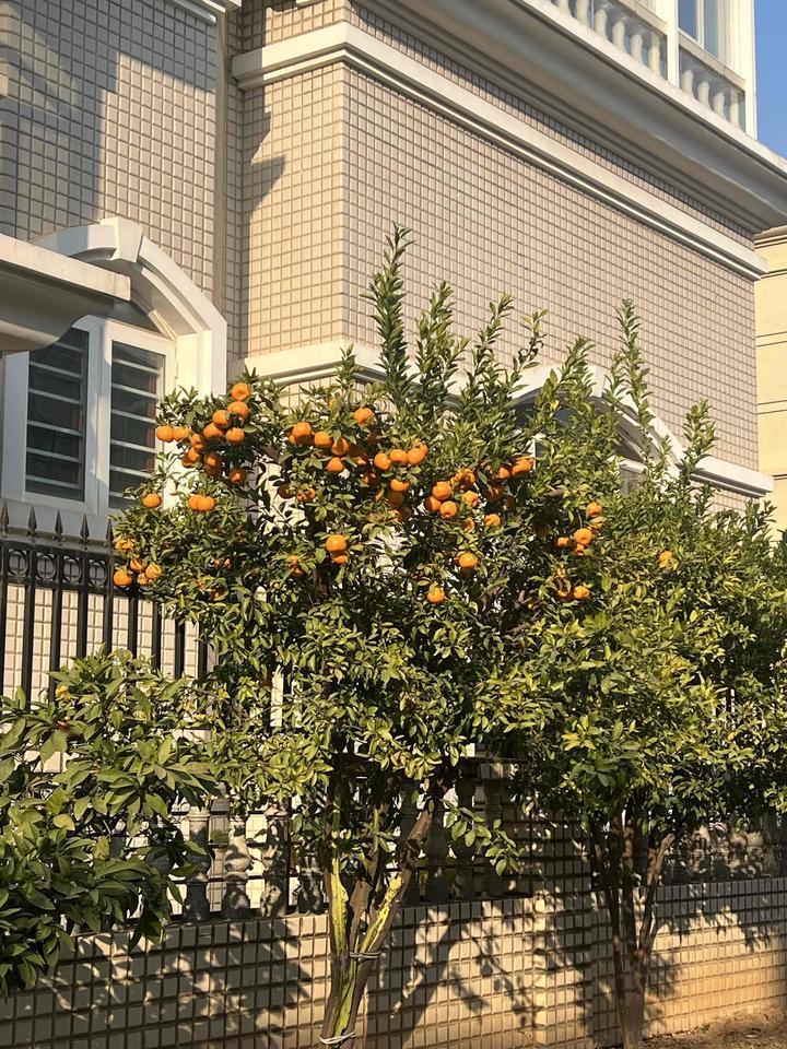 好好活着吧，一旦死了就什么都没了。朋友的长辈62岁猝然离世，生前把一半退休金