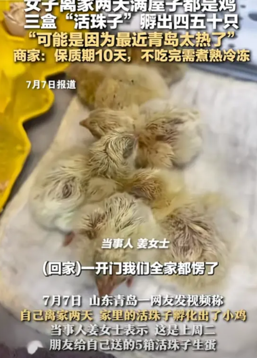 “这泼天的富贵！”青岛，女子和家人去外面避暑两天，不料回家以后女子发现三盒“活珠