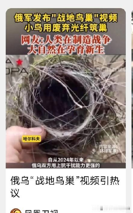 同类自相残杀，关心异类可笑可笑