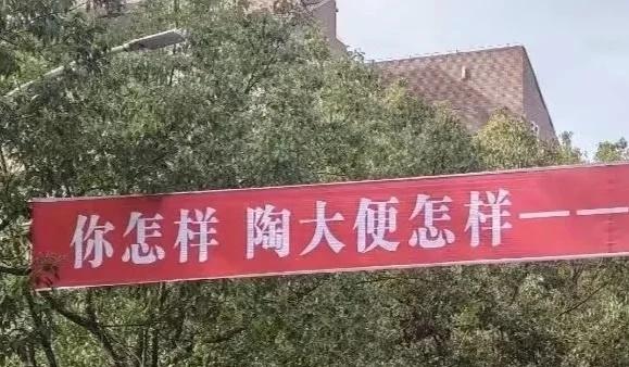 干嘛我也要掏吗？一点梗图怪有趣抽象