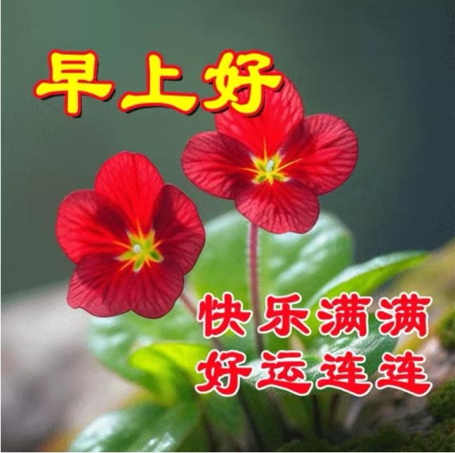 風雨同舟保健康，彼此快樂度時光，幸福人生皆如意，平安無恙迎吉祥。早上好！