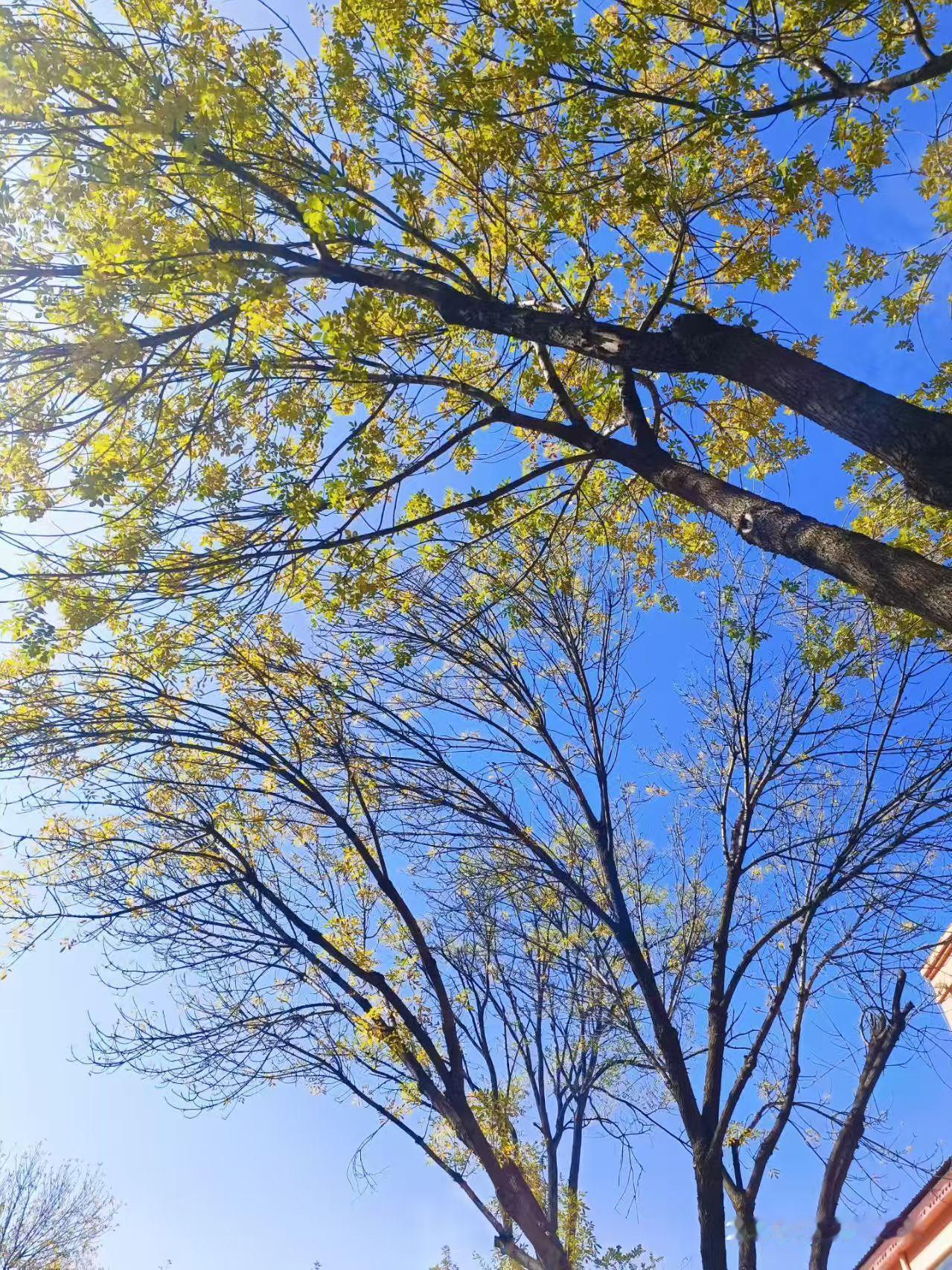 其实《天道》没那么玄乎，就是咱们常说的“规矩”——不管是人还是事儿，都逃不开的基