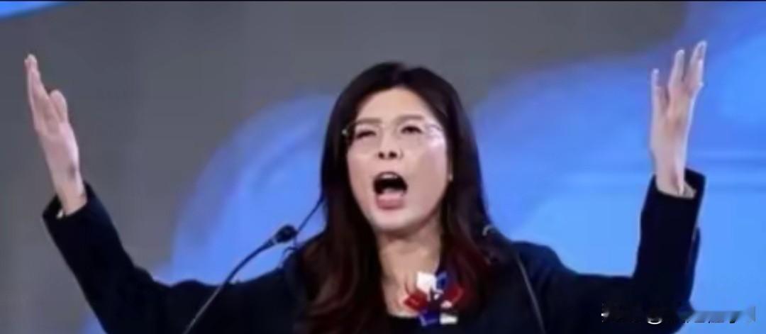 郑丽文撂明两岸立场：拒一国两制提一国两区郑丽文台北公开否认“一国两制”引发