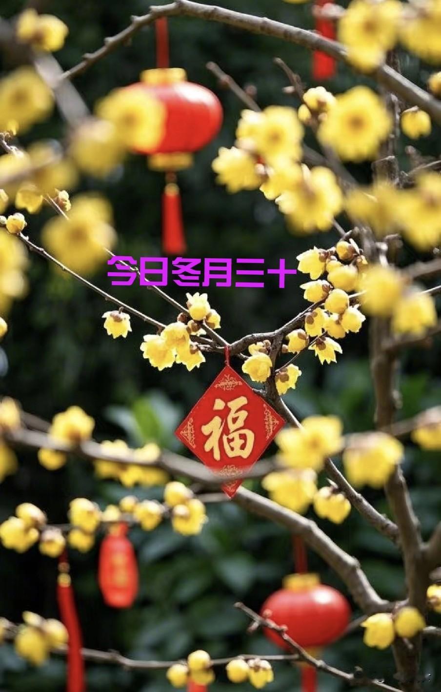 今天冬月三十，是“”晦日”，牢记“1不去、2不晚、3不吃、4不借”十一月的最后