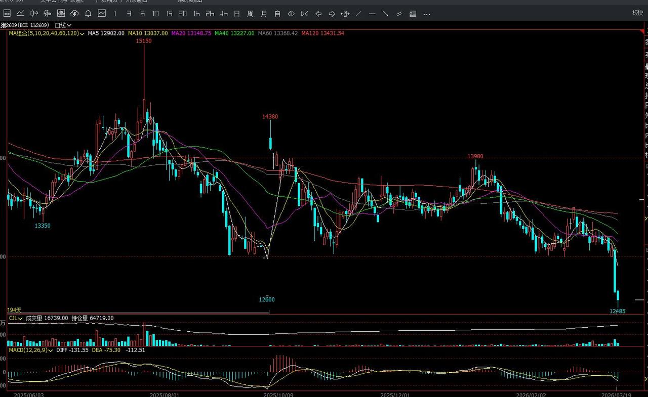生猪：基本面供应端，规模养殖企业3月计划出栏量环比明显增加，出栏节奏持续加快，
